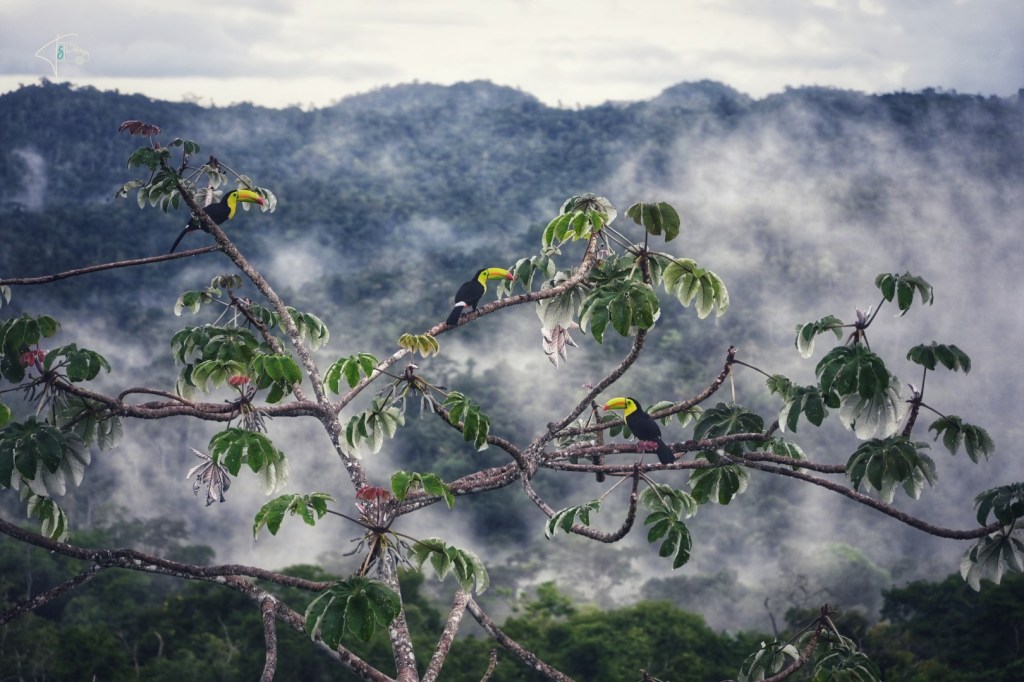 ‚You better belize it‘ in Süden und Westen