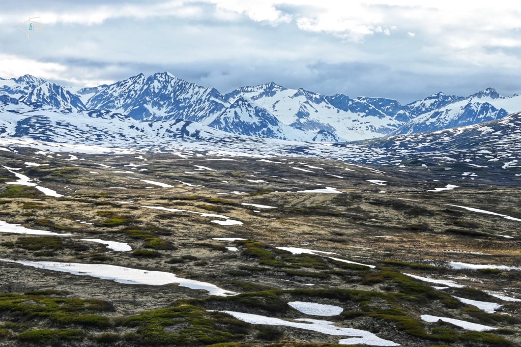 Der „Golden Circle“