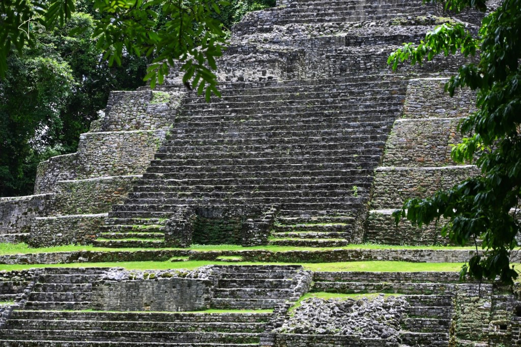 „Welcome buddies to Belize“ – von Orange Walk nach Belize City