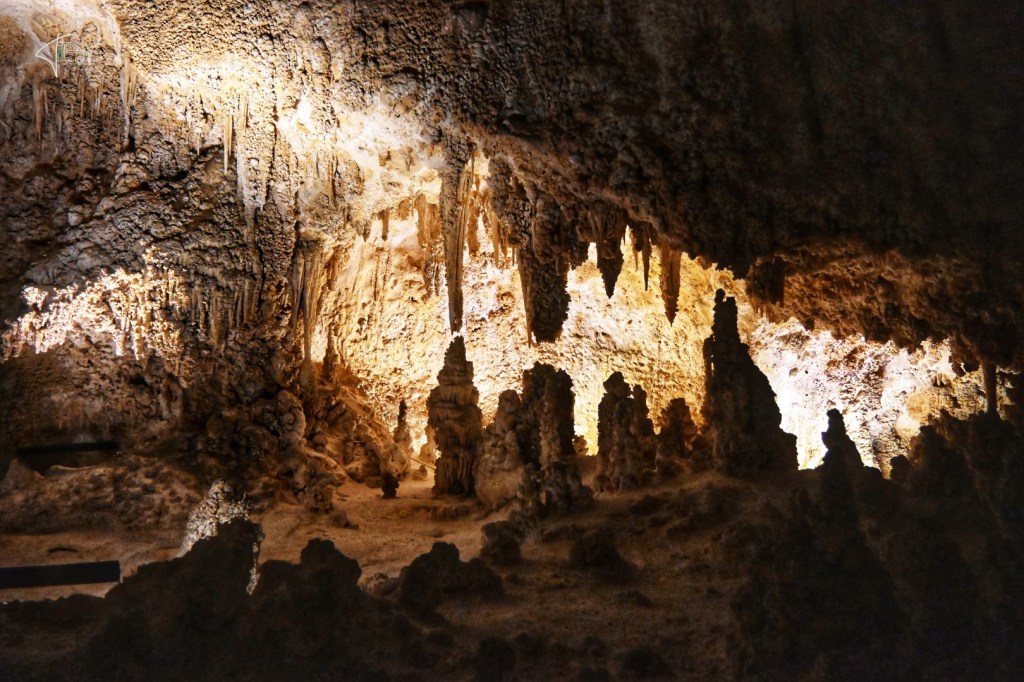 Von weißen Dünen zu dunklen Höhlen – New Mexicos&nbsp;Nationalparks