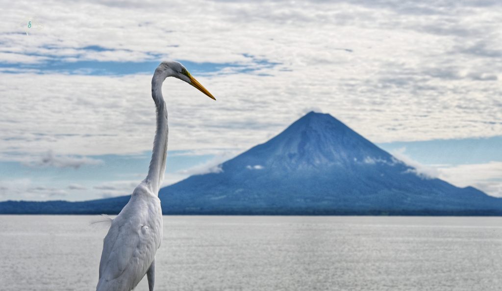 Nicaraguas Süden – Isla Ometepe und Beachlife an der&nbsp;Pazifikküste