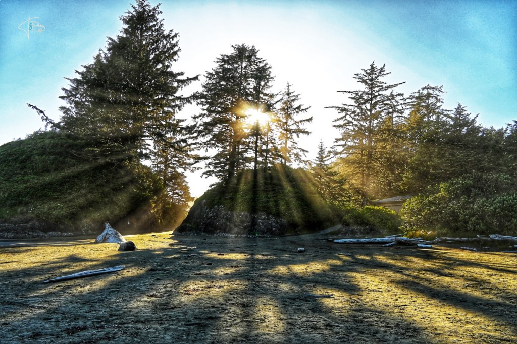 Vancouver Island – Victoria und Pacific Rim Nationalpark