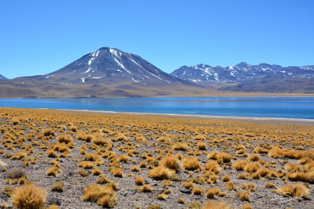 Back to life – Auftauen in Chile