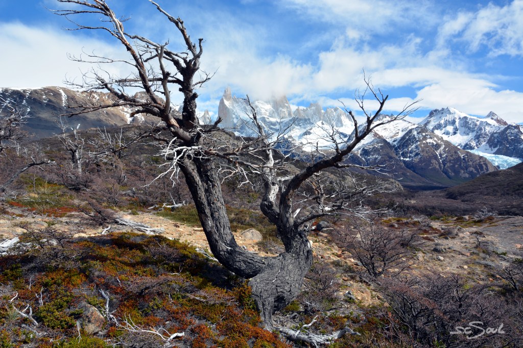 Mit Vollgas durch Patagonien